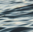 Фото: unsplash.com - Алтайская правда