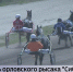 В рамках «Дня сибирского поля» в Барнауле пройдёт фестиваль орловского рысака - ГТРК Алтай