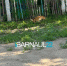 В Рубцовске спасли изможденного олененка - Barneos22.ru