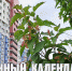 Лунный календарь на 15 июля: сегодня будет «лёгкий» понедельник - ГТРК Алтай