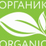 Без химии и ГМО. Алтайский специалист рассказала все об органических продуктах - ИА Амител