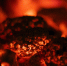 Фото: Unsplash - Алтайская правда