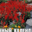 Лунный календарь на 21 августа: сегодня можно узнать, есть ли у вас дар предвидения - ГТРК Алтай
