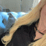 Екатерина Мизулина / Фото: t.me/ekaterina_mizulina - ИА Амител