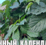 Лунный календарь на 25 августа: сегодня Луна пробуждает в людях чувство справедливости - ГТРК Алтай