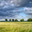 Фото: pixabay.com - ИА Амител