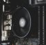 Фото: unsplash.com - Алтайская правда