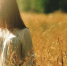 Фото: pixabay.com - ИА Амител