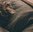 Девушка спит / Источник фото: unsplash.com - ИА Амител