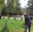 Первые противопожарные субботники провели в столице Алтайского края - Администрация Алтайского края
