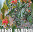 Лунный календарь на 25 сентября: травмоопасный и конфликтный день, денег взаймы тоже лучше не давать - ГТРК Алтай