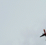 Самолет / Источник фото: unsplash.com - ИА Амител