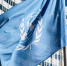 ООН: население Украины сократилось на восемь миллионов человек с 2022 года - Сетевое издание Толк
