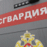 В пригороде Грозного неизвестные обстреляли воинскую колонну Росгвардии - Сетевое издание Толк