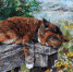 168.jpg - Управление культуры