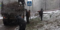 31 октября завершился месячник осенней санитарной очистки - Администрация г. Барнаул