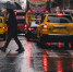Фото: unsplash.com - Алтайская правда