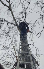 Городские службы устраняют последствия непогоды в Барнауле