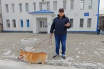 Депутаты АКЗС зарегистрировали своих домашних животных