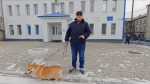 Фото: скрин из видео