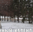 Лунный календарь на 14 ноября: сегодня можно вырваться из круга бед и проблем - ГТРК Алтай