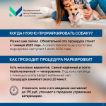 Барнаульцам рассказали о регистрации домашних животных