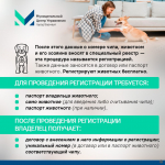 Барнаульцам рассказали о регистрации домашних животных