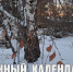 Лунный календарь на 20 ноября: критический день, берегите силы - ГТРК Алтай