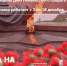 В Новоалтайском краеведческом музее имени В.Я. Марусина откроют выставку «Для мира на земле», посвященную Дню Неизвестного Солдата - Администрация Алтайского края