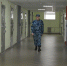 Жители Бийска стали чаще замечать автозаки на улицах - Сетевое издание Толк
