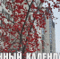 Лунный календарь на 25 ноября: сегодня у вас может открыться второе дыхание - ГТРК Алтай