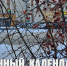 Лунный календарь на 27 ноября: критический день, берегите нервы - ГТРК Алтай