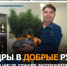 РОССИЙСКИЙ ЭКОЛОГИЧЕСКИЙ ОПЕРАТОР  ВКЛЮЧИЛ В ШОРТ-ЛИСТ ПРОЕКТ «КЕДРЫ В ДОБРЫЕ РУКИ» - Газета Первомайский вестник