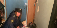Одинокая собака пришла к отделению судебных приставов в Заринске - Телеканал Катунь 24