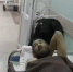 Появилось видео допроса беглеца, стрелявшего при задержании в Барнауле - Комсомольская Правда