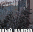 Лунный календарь на 15 декабря: полнолуние, один из самых неудачных дней для бизнеса - ГТРК Алтай