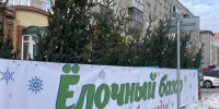 Где работают ёлочные базары на территории Октябрьского района Барнаула - Администрация г. Барнаул