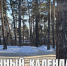 Лунный календарь на 19 декабря: критический день, легко поддаться искушению - ГТРК Алтай