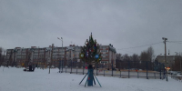 В сибирском городе установили пробник новогодней елки - Сетевое издание Толк