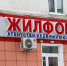 Пострадавшая в афере Людмилы Авдюхиной требует банкротства барнаульского Жилфонда - Сетевое издание Толк