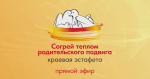 Прямая трансляция краевой эстафеты родительского подвига
