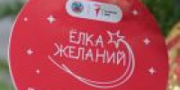 «Елка желаний»: сбылись мечты сестер из Баевского района - УТЗН Алтайского края