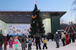 елка в парке Центральный_centropark22.jpg