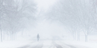 Фото: unsplash.com - Алтайская правда