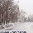 Снежная буря и порывы ветра более 25 м/с ожидаются на Алтае в предновогодние дни - ГТРК Алтай