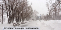 Снежная буря и порывы ветра более 25 м/с ожидаются на Алтае в предновогодние дни - ГТРК Алтай