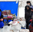 В Барнауле прошли предновогодние продовольственные ярмарки - Администрация г. Барнаул