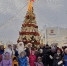 В Центральном районе открыли новогоднюю елку на улице Мало-Тобольской - Администрация г. Барнаул