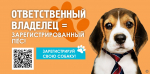 В Индустриальном районе проводятся мероприятия по информированию граждан о необходимости регистрации домашних животных