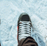 Фото: unsplash.com - Алтайская правда